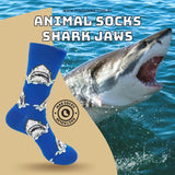 Animal Socks Shark J