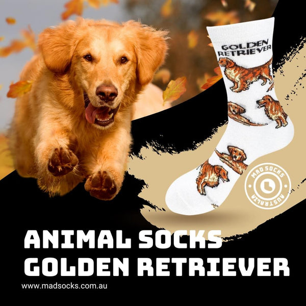 Animal Socks Golden