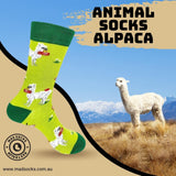 Animal Socks Alpaca<