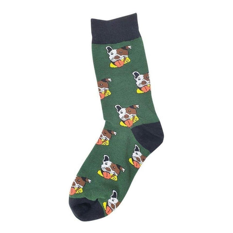 Animal Socks Bull Terrier