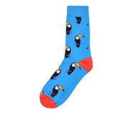 Animal Socks Birds Toucans