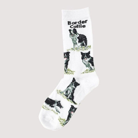 Animal Socks Border Collie