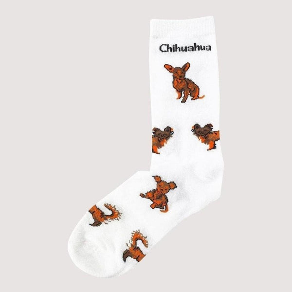 Animal Socks Chihuahua - Mad Socks Australia