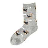 Animal Socks Dog & Bone