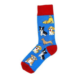Animal Socks Fancy Dog Party